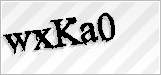 CAPTCHA security code