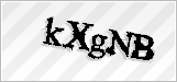CAPTCHA security code