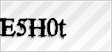 CAPTCHA security code