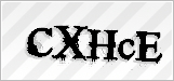 CAPTCHA security code