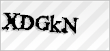 CAPTCHA security code