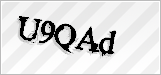 CAPTCHA security code