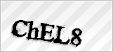 CAPTCHA security code