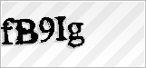 CAPTCHA security code