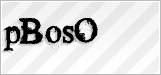 CAPTCHA security code