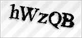 CAPTCHA security code
