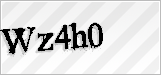 CAPTCHA security code