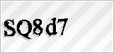 CAPTCHA security code