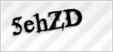 CAPTCHA security code