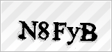 CAPTCHA security code