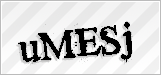 CAPTCHA security code
