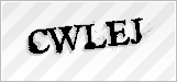 CAPTCHA security code