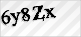 CAPTCHA security code