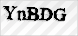 CAPTCHA security code