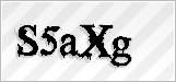 CAPTCHA security code