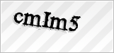 CAPTCHA security code