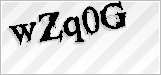 CAPTCHA security code