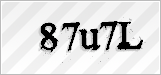 CAPTCHA security code