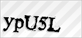 CAPTCHA security code