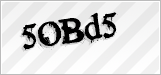 CAPTCHA security code