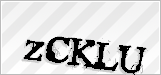 CAPTCHA security code