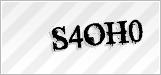 CAPTCHA security code