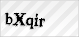 CAPTCHA security code