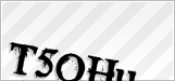 CAPTCHA security code