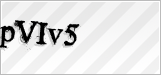 CAPTCHA security code