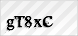 CAPTCHA security code
