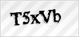 CAPTCHA security code