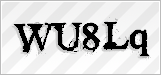 CAPTCHA security code