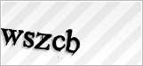 CAPTCHA security code