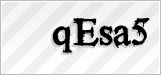 CAPTCHA security code