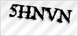 CAPTCHA security code