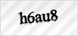 CAPTCHA security code