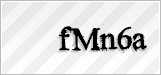 CAPTCHA security code