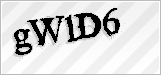 CAPTCHA security code