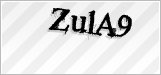 CAPTCHA security code