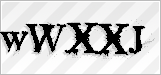 CAPTCHA security code