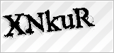 CAPTCHA security code