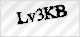 CAPTCHA security code