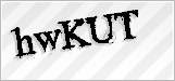 CAPTCHA security code