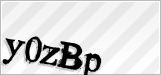 CAPTCHA security code