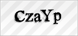 CAPTCHA security code