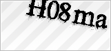 CAPTCHA security code