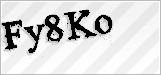 CAPTCHA security code