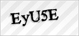 CAPTCHA security code