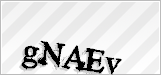 CAPTCHA security code