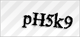 CAPTCHA security code
